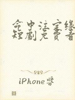 命中注定缘归来短剧免费看