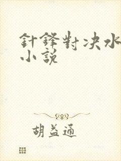 针锋对决水千丞小说