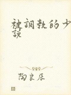 被调教的少妇小说