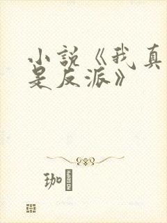 小说《我真的不是反派》