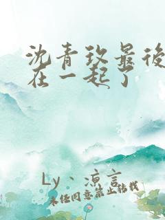 沈青玫最后和谁在一起了