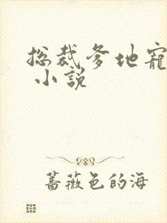 总裁爹地宠上天 小说