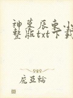 神墓辰东小说完整版txt下载