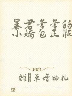 暴君爹爹的团宠小娇包正版