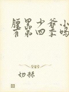 腹黑少爷小甜妻有第四季吗