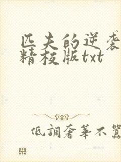 匹夫的逆袭完整精校版txt