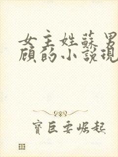 女主姓苏男主姓顾的小说现代言情