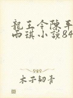 龙王令陈平,苏雨琪小说84