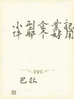 小型企业记账软件哪个好用