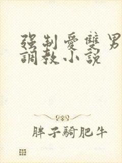 强制爱双男训诫调教小说