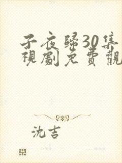 子夜归30集电视剧免费观看全集高清