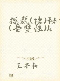 总裁(攻)秘书(受双性)h