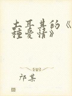 土耳其的《第八种爱情》