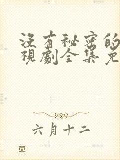 没有秘密的你电视剧全集免费观看