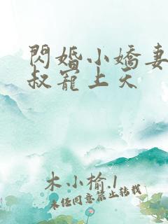 闪婚小娇妻:大叔宠上天