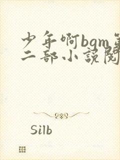 少年啊bgm第二部小说阅读免费