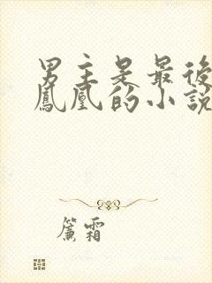 男主是最后一只凤凰的小说