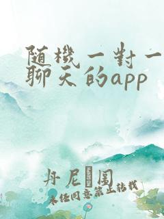 随机一对一视频聊天的app