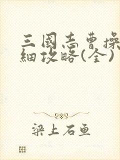 三国志曹操传详细攻略(全)