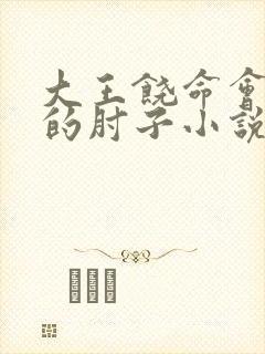 大王饶命会说话的肘子小说txt下载