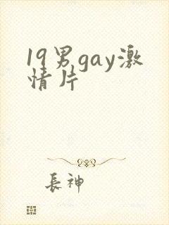 19男gay激情片
