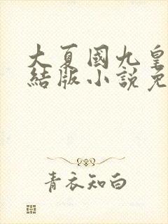 大夏国九皇子完结版小说免费阅读