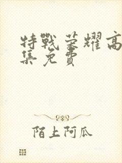 特战荣耀高清全集免费