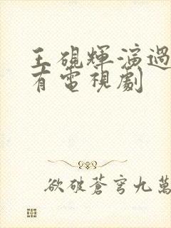 王砚辉演过的所有电视剧