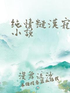 纯情糙汉宠不停小说