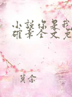 小说你是我的小确幸全文免费阅读