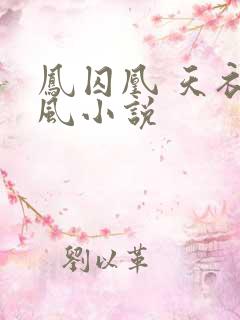 凤囚凰 天衣有风小说