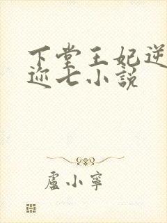 下堂王妃逆袭记迩七小说