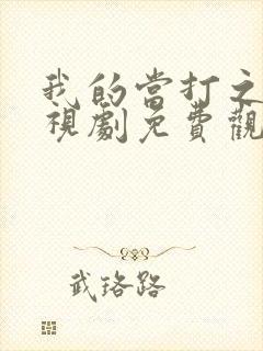 我的当打之年电视剧免费观看