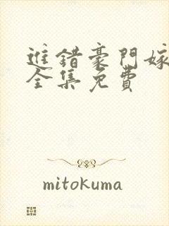 进错豪门嫁对郎全集免费