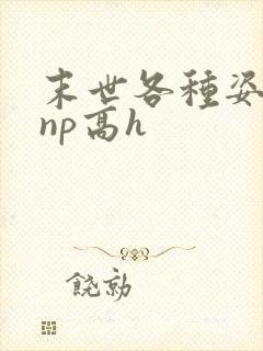 末世各种姿势被np高h