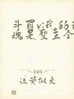 斗罗v:我的武魂是圣主全集