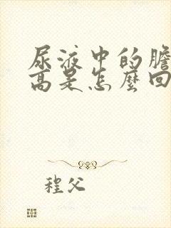 尿液中的胆红素高是怎么回事