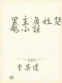 男主角姓楚的穿越小说