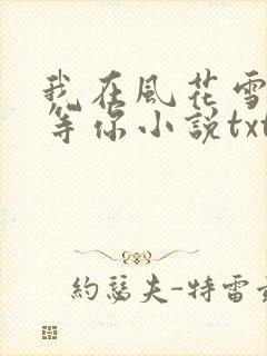我在风花雪月里等你小说txt免费下载