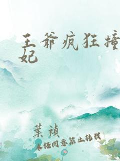 王爷疯狂撞击王妃