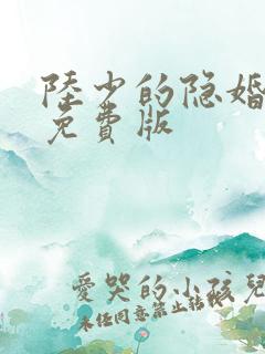 陆少的隐婚罪妻免费版