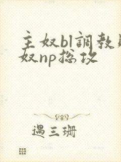 主奴bl调教贱奴np总攻