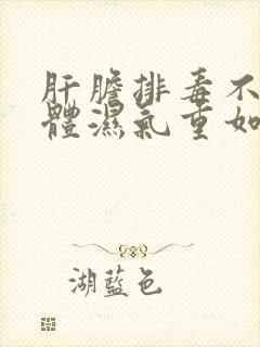 肝胆排毒不好身体湿气重如何调理