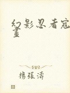 幻影忍者寇简笔画