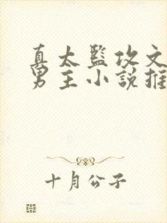 真太监攻文,双男主小说推荐