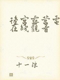 后宫露营电视剧在线观看