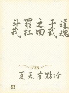 斗罗之千道流把我扛回武魂殿