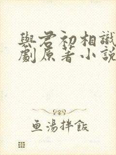 与君初相识电视剧原著小说