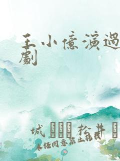 王小亿演过哪些剧