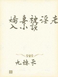 娇妻被淫老头进入小说